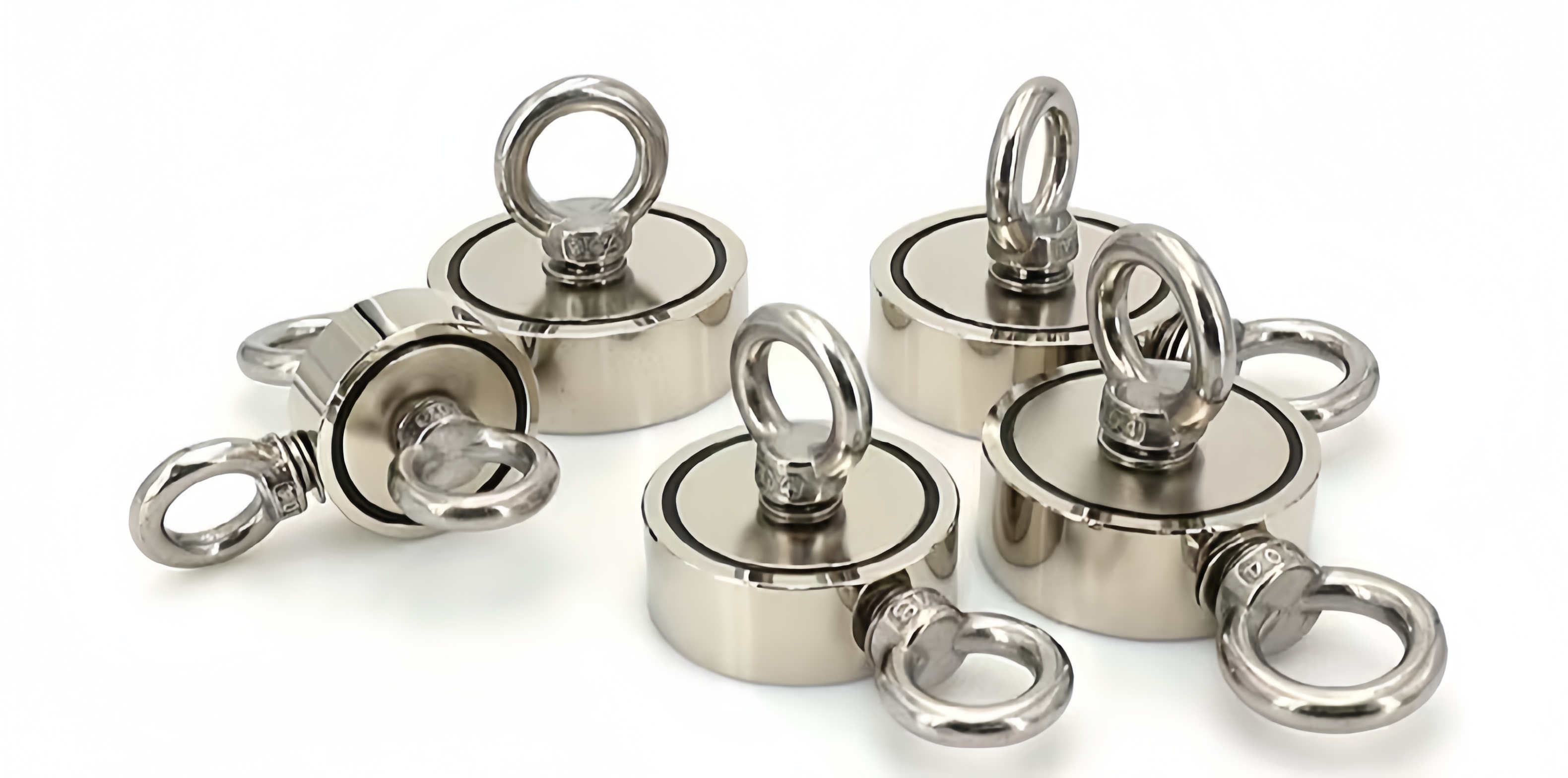 Custom nickel plated fish neodymium magnet
