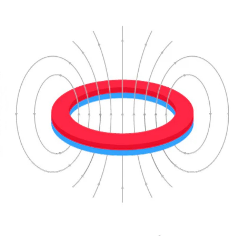 Magnetic Field of a Thin Ring Magnet