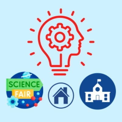 horseshoe magnets for sale