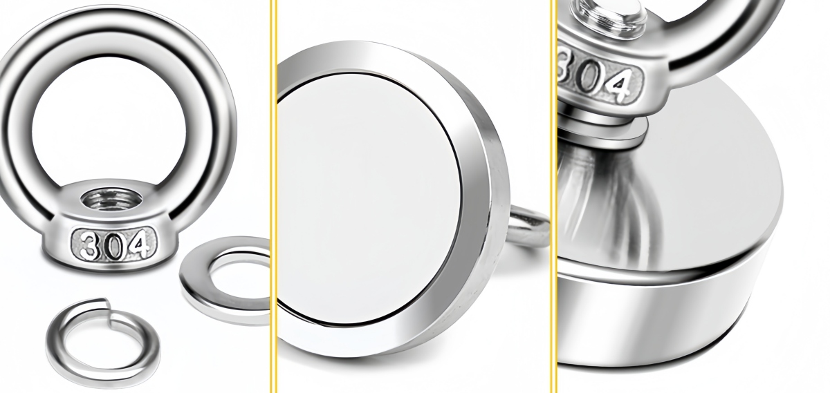 Durable stainles steel shell fish magnet